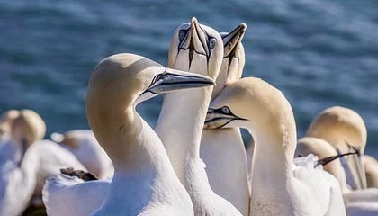 开云官方网站-“青少年足球青训课程升级，融合新科技新理念”，青少年足球训练体系